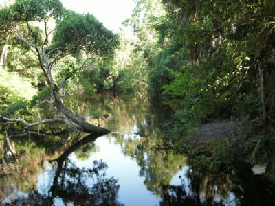 Little Manatee River Watershed